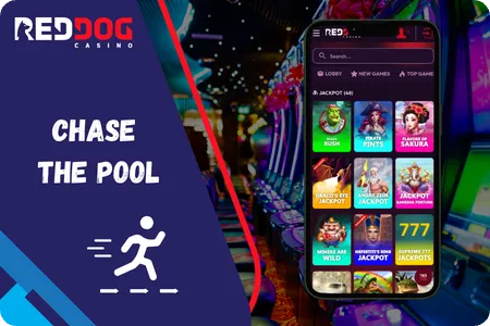 Red Dog Casino progressive jackpot games with live prize counters