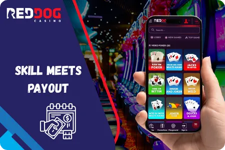 Red Dog Casino video poker variants with multi-hand options